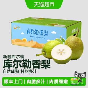 顺丰上门源兴果品 库尔勒新鲜香梨