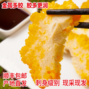 顺丰 新鲜金耳菌食用菌菇刺身火锅煲汤高纤维出胶满满低脂肪 包邮