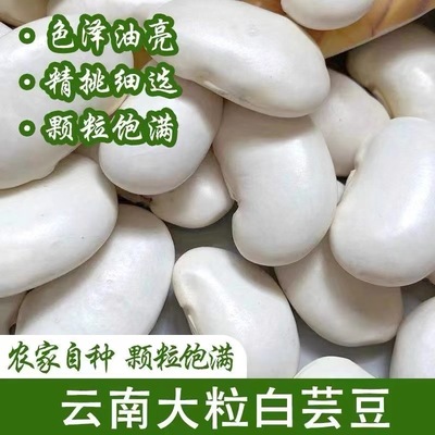 珍农耕 精选大颗云南新货大雪豆白芸豆五谷杂粮煮粥煲汤5斤包邮