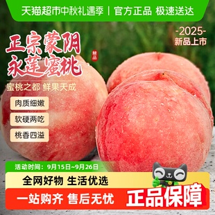 鲜毛桃 正宗蒙阴永莲蜜桃香甜多汁新鲜采摘蜜桃应季 中秋好礼
