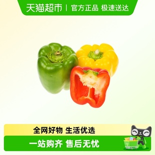 新鲜彩椒蔬菜灯笼椒青椒甜椒绿色圆椒彩色菜椒大青椒