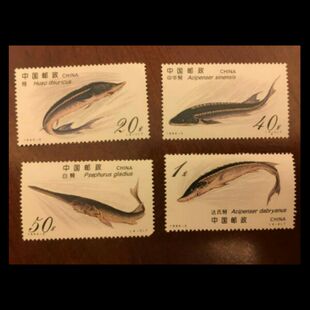 1994-3《鲟》邮票4枚套票 动物邮票 全品相保真  邮局正品
