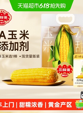 顺丰上门三胖蛋黄白甜糯玉米内蒙真空包装水果玉米棒速食早餐低脂