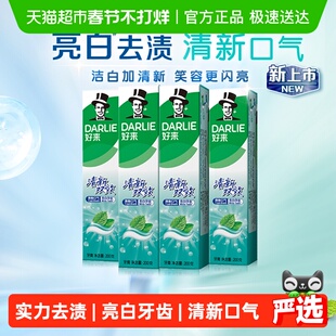 DARLIE好来(原黑人)牙膏清新双效200g*4支套装大容量清新口气