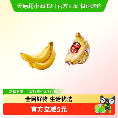 Dole/都乐菲律宾进口香蕉