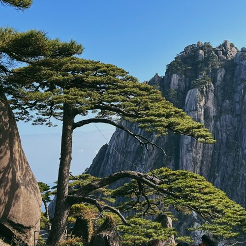 黄山3天2晚（黄山/西递/宏村/呈坎/西溪南/徽商大宅院深度精华游