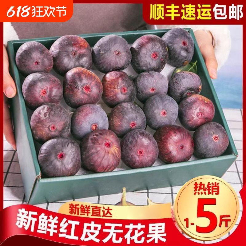 云南波姬红 无花果 鲜紫皮 无花糖包子 新鲜