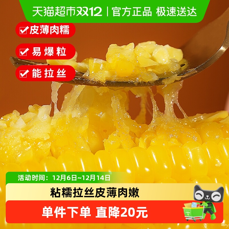 天勤粒粒净新季有机黄糯玉米非东北粘玉米真空早餐加热即食