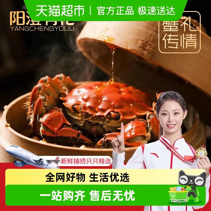 阳澄有礼大闸蟹去绳净重足两