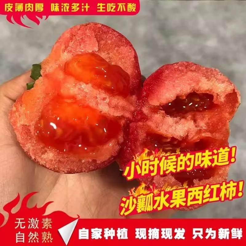 山东沙瓤西红柿新鲜现摘农家自种自然熟孕妇生吃水果番茄蔬菜直发,水产肉类/新鲜蔬果/熟食,番茄,淘宝优惠券,粉丝福利购,淘宝优惠卷