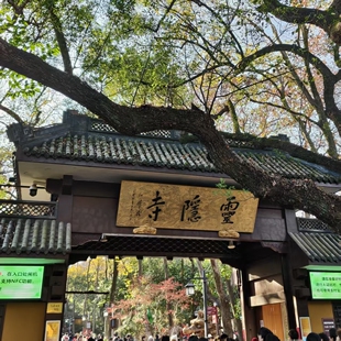 【代预约】灵隐寺+飞来峰+1.5小时人工讲解  半日游