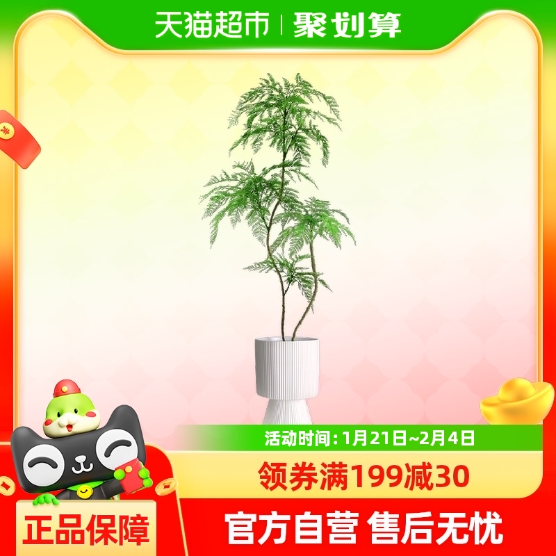 Դֲ칫ҿֲ׮200.9Ԫ5(40.18Ԫ/88VIP 95)