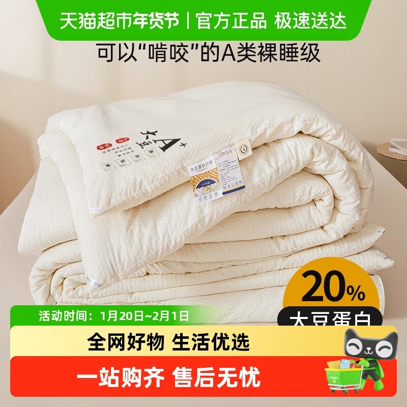 红豆大豆纤维被子冬被春秋被芯棉被学生宿舍夏凉被空调被四季通用,床上用品,化纤被,淘宝优惠券,粉丝福利购,淘宝优惠卷