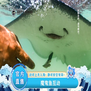 [海南分界洲岛旅游区-魔鬼鱼互动]热门项目。亲子出游优选的特色项目互动感十足。