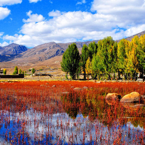 四川成都包车到稻城亚丁色达九寨沟峨眉山四姑娘山都江堰旅游包车