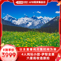 伊犁環(huán)線4人mini團(tuán)