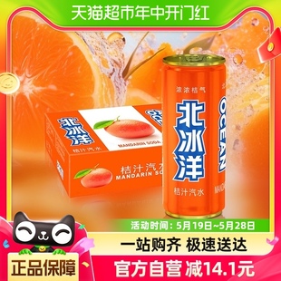 北冰洋汽水桔汁易拉罐装 碳酸饮料果汁饮品清爽口感330ml×24罐