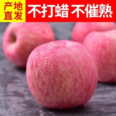 【产地直发】红富士苹果4.5斤