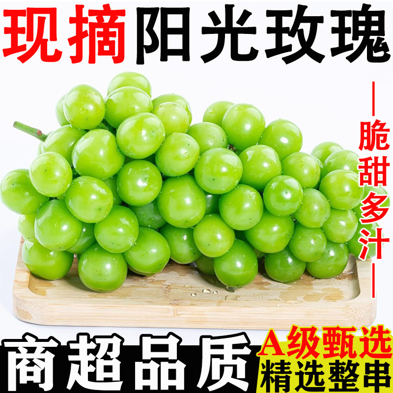 阳光玫瑰新鲜应季葡萄水果多汁无籽颗颗饱满青提产地现摘现发包邮