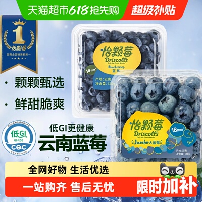 DRISCOLL'S怡颗莓优选云南蓝莓