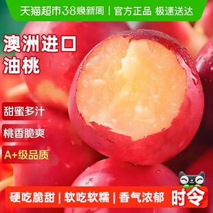 澳洲进口油桃子脆甜雪水蜜小冬桃新鲜水果时令当季孕妇