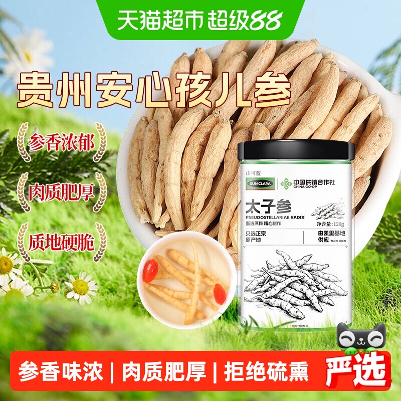 SunClara太子参肉质肥厚参香浓图片