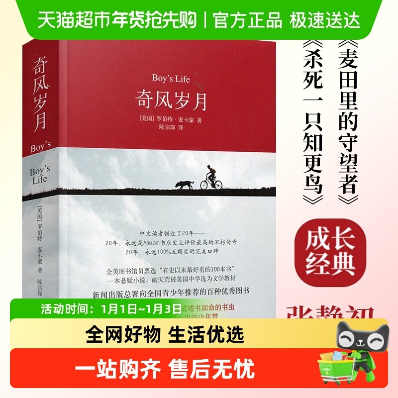 奇风岁月 麦卡蒙美国成长外国现当代文学小说译林出版社新华书店