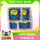 6盒小果酸甜口感 怡颗莓新鲜水果云南蓝莓125g