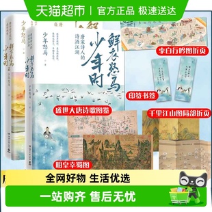 共2册少年怒马著公号大V少年怒马著 多重附品 鲜衣怒马少年时1