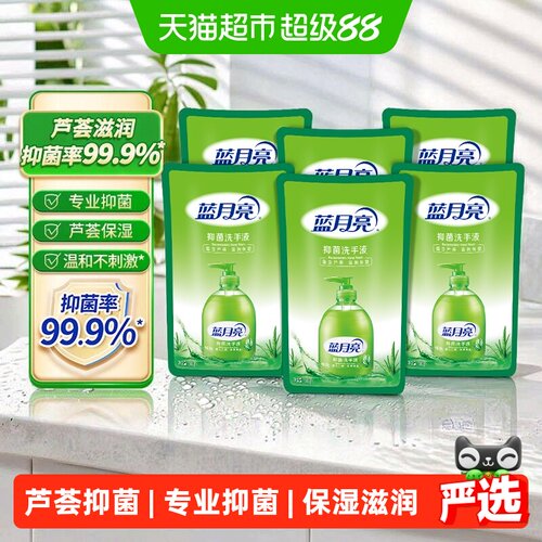 蓝月亮芦荟抑菌洗手液500g*6袋