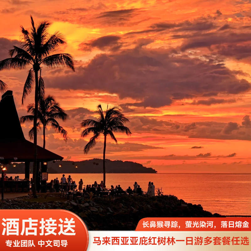 马来西亚沙巴亚庇kawa红树林天空之境海龟苑威士顿萤火虫多选套餐
