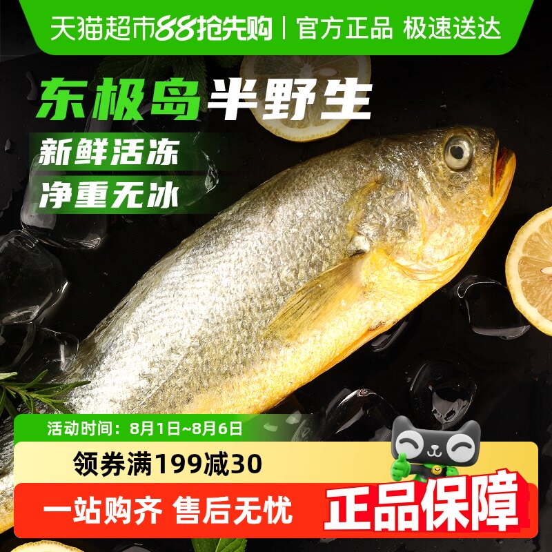 ��������ɽ��������Ұ������������䶳��̬����ˮ��