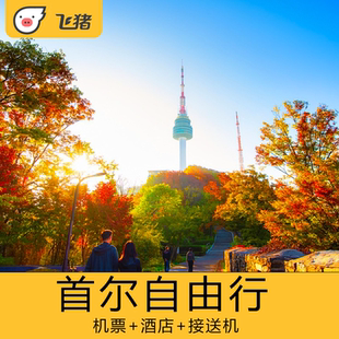 全国直飞韩国旅游首尔6天5晚自由行往返机票酒店签证（团队签）