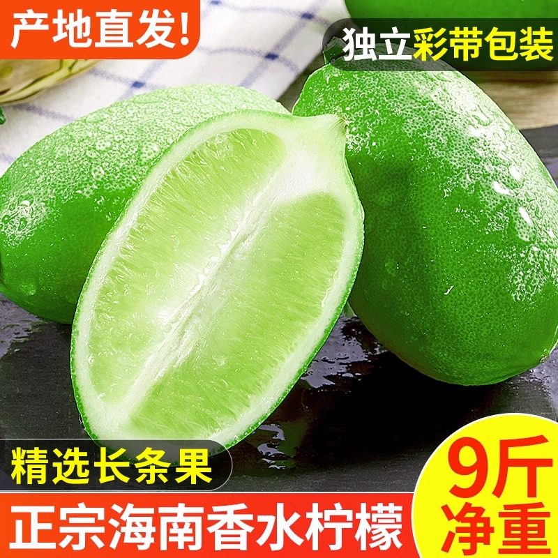 香水无籽青柠檬海南新鲜水果现摘一级皮薄小青柠奶茶店专用