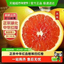 湖北中华红橙新鲜应季红橙酸甜多汁时令宜昌鲜橙子