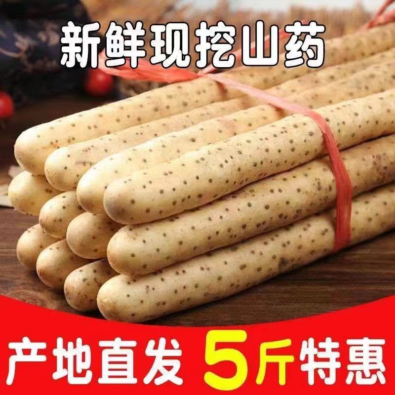 正宗铁棍山药新鲜铁杆淮山现挖小白嘴山药面糯香甜批发包邮