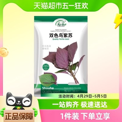 双色紫苏种子蔬菜寿禾