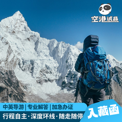 【外宾入藏函办理】西藏旅游 拉萨林芝羊湖布达拉宫纯玩私人定制