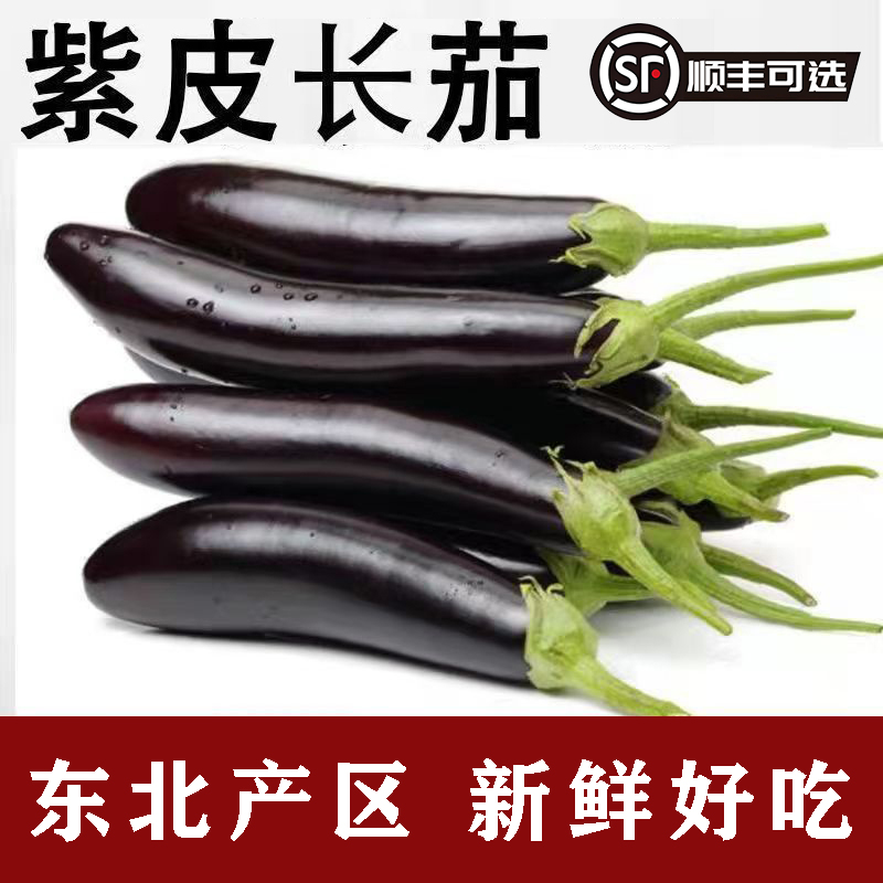 顺丰包邮东北绿把紫茄子新鲜蔬菜农家自种新摘可生吃的茄子
