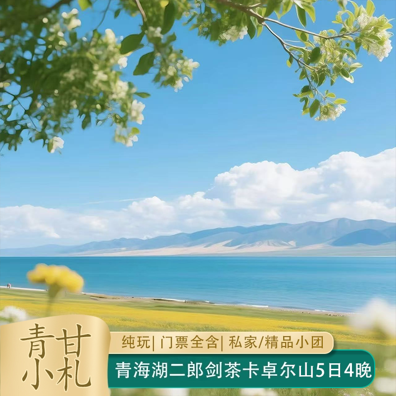 西北旅游甘青小环线5天4晚2-6人纯玩青海湖茶卡盐湖卓尔山张掖