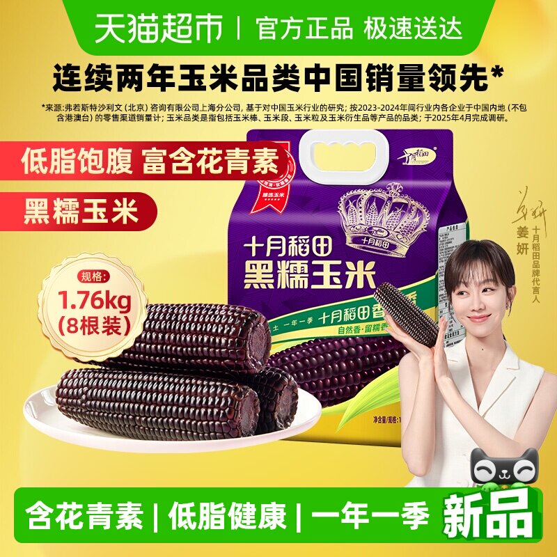 十月稻田东北黑糯玉米营养健康便携杂粮粗粮冬日早餐