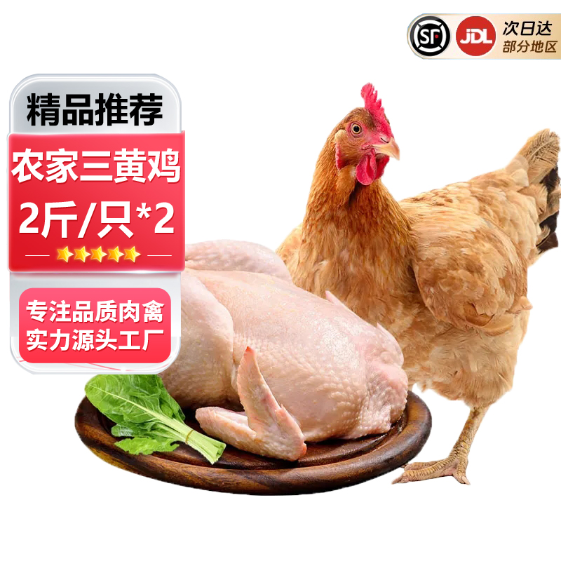正宗散养三黄鸡土鸡现杀鸡肉新鲜童子鸡整只农家笨鸡整鸡生鸡肉
