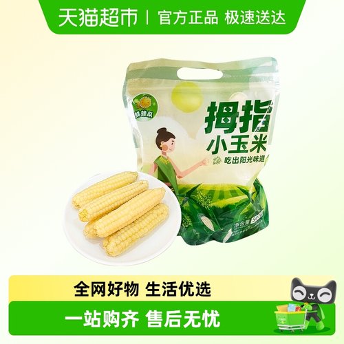 拇指玉米顺丰真空小玉米