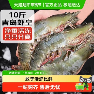 大虾鲜活超大基围虾特大青虾冷冻青岛鲜对虾速冻海虾虾类海鲜水产