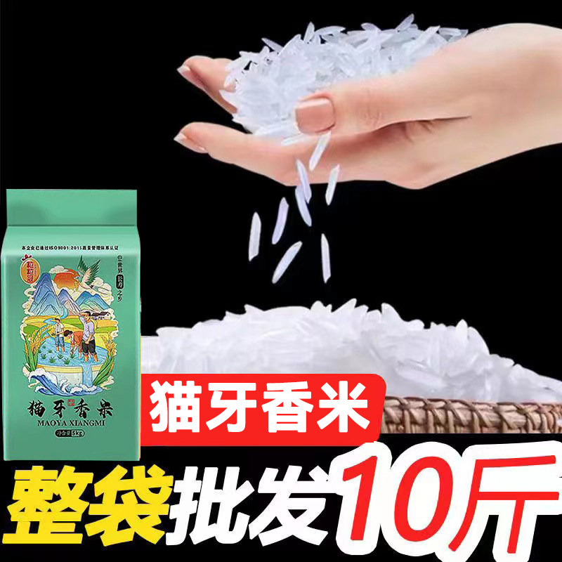 广西上林正宗猫牙香米当季新米一级大米长粒香米煲仔蛋炒饭籼米,粮油调味/速食/干货/烘焙,大米,淘宝优惠券,粉丝福利购,淘宝优惠卷