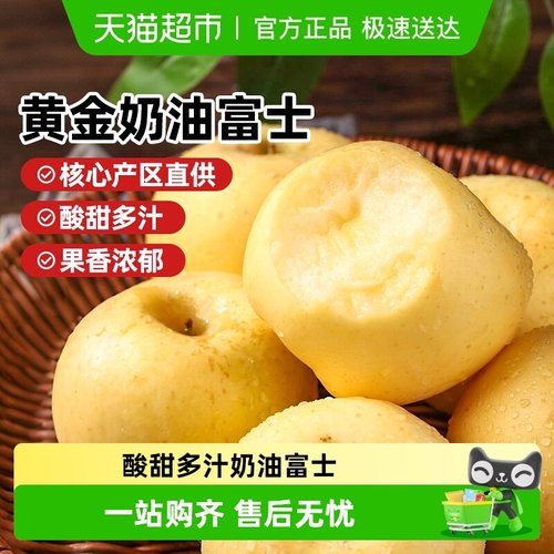 西域美农山东烟台奶油富士苹果