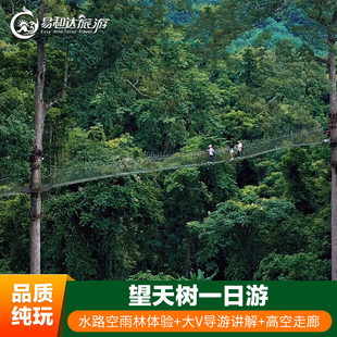 深度雨林西双版纳旅游推荐 望天树景区纯玩一日游含套票 全程讲解