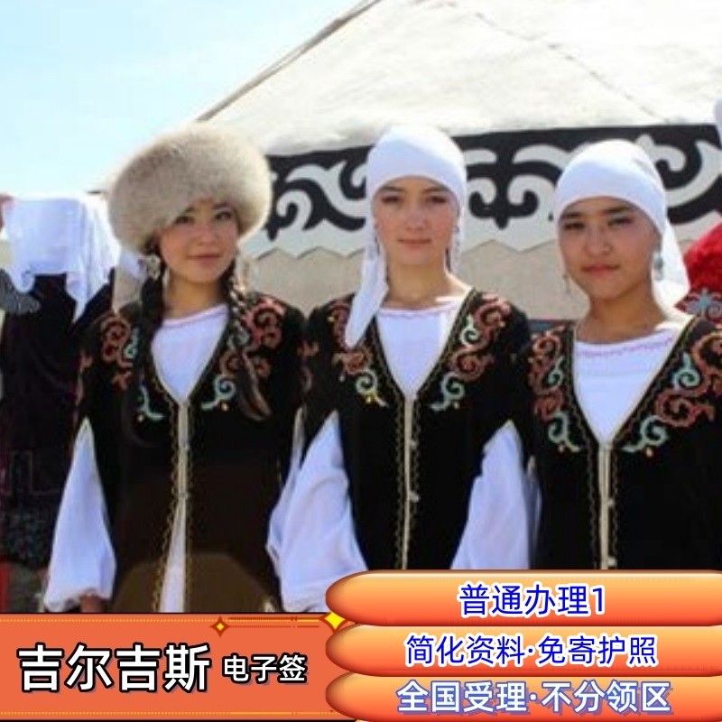 吉尔吉斯斯坦·旅游签证·移民局网站·【预计元旦正常】【普通办理1】 30天/59天/89天【俄语系专业商家】
