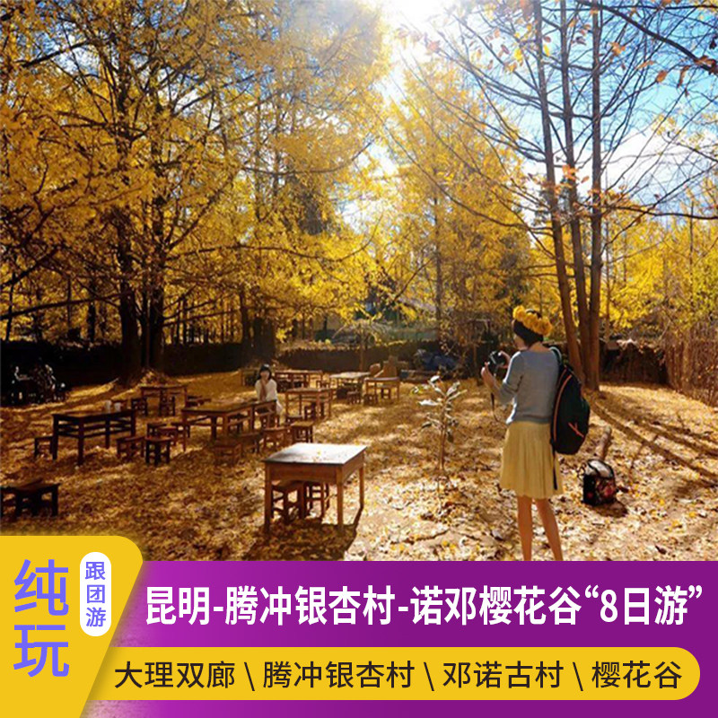 腾冲诺邓樱花谷8日游