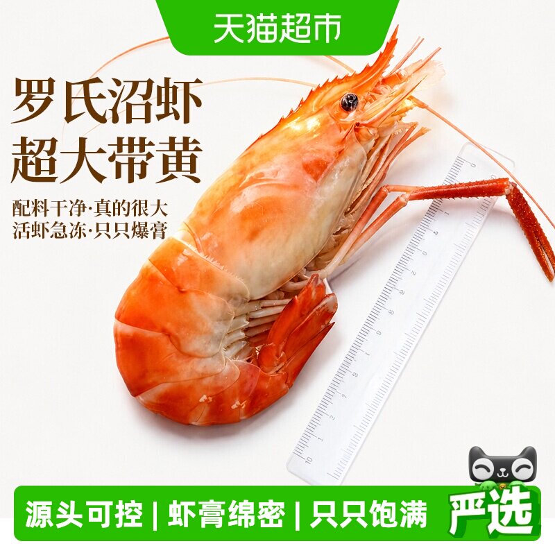 【超市推荐】超大带黄罗氏沼虾图片